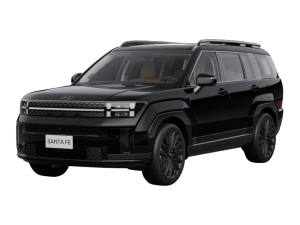 All new Santa Fe 2.5 Turbo Calligraphy