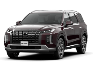 Palisade Exclusive 6 chỗ