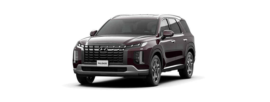 Palisade Exclusive 6 chỗ