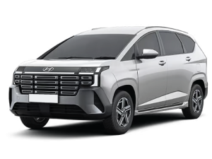 Stargazer Cao Cấp 2026